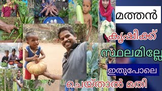 Pumpkin farming in our home |ഞങ്ങളുടെ വീട്ടിലെ #മത്തൻ കൃഷി |@uppayumkuttyolum5651