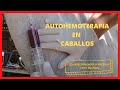 ¿QUE pasa si le INYECTO SANGRE a mi CABALLO? AUTOVACUNA