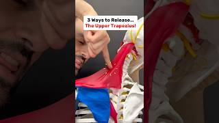 3 Ways to Release the Upper Trapezius Muscle #neckpainrelief #neckpain #shoulderpain
