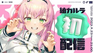 【初配信】はじめまして！一般ピーポー紬カルラです！面白おかしくエンタメLet's Go!!!【紬カルラ / 個人Vtuber】