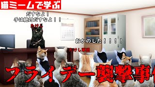 猫ミームで学ぶフライデー襲撃事件 #猫マニ #猫ミーム