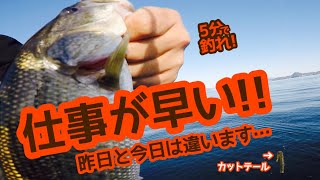 【5分で釣れ！】仕事が早い！昨日と今日は違います…【琵琶湖バス釣り】