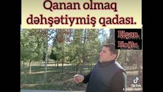 Elsan Eloglu. Qanan olmaq dəhşətiymiş qadası.