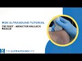 MSK ultrasound evaluation of the abductor hallucis muscle of the foot