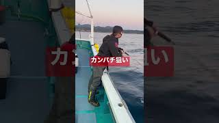 【ジギング】カンパチ釣るぞっ　#釣りガール