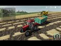 Prasowanie słomy/Ursus C-360 3p w akcji-FS 19