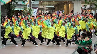 「愛知淑徳大学 鳴踊」四日市よさこい やったろ舞2019【ふれあいモール】