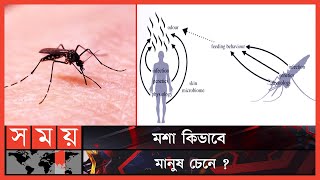 সব মশা মানুষকে কামড়ায় না কেন ? | Mosquito Suck Human blood | Somoy TV