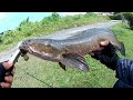 VidLog#11 - Guna Lure FHALUNT Strike Monster!! | Thai Street Fishing Plus | TSF+