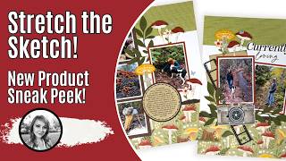 Photo Heavy Scrapbook Layout Tutorial | Stampin' Up Cute as a Bug