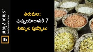 తిరుమల: పుష్పయాగానికి 7 టన్నుల పుష్పాలు | Tirupati | Way2News