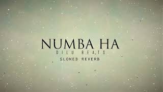Dilu Beats - Numba Ha Slowed Reverb Music