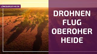 Drohnenflug über die Oberoher Heide in der Lüneburger Heide