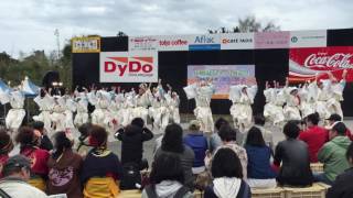 天空しなと屋 しん 川棚温泉祭り 舞龍祭 2016