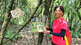 富士坪大草原→鹿堀坪古道→鹿堀坪山→頭前溪瀑布→大崙坪圳口 下集