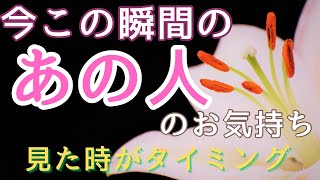 今この瞬間のあの人のお気持ち💓見た時がタイミング