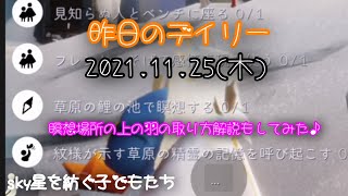 [sky星を紡ぐ子どもたち]昨日のデイリー2021.11.25(木)瞑想場所の上の羽の取り方解説もしてみた♪