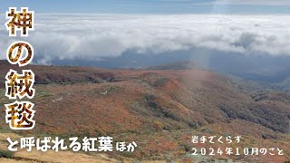 神の絨毯と呼ばれる栗駒山の紅葉、秋晴れの１０月のこと　岩手でくらす　２０２４年１０月のこと