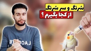 سرنگ و سرسرنگ اورجینال برای جوجه از کجا بخریم ؟