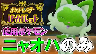 【ニャオハ二人旅】素人がキャルちゃんと二人で殿堂入りを目指す旅【part1】【ポケモンSV】