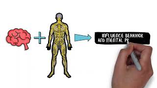 PSY-303 Module 3: Behavioral Neuroscience