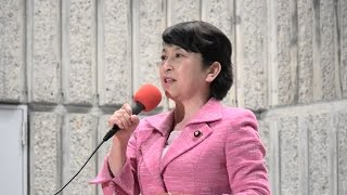 福島みずほ氏 スピーチ「話し合うことが罪になる共謀罪法案の廃案を求める４・６大集会」2017.4.6 @日比谷野音