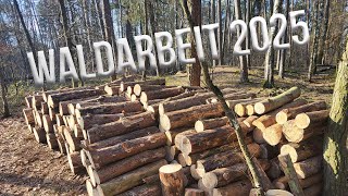 Waldarbeit 2025 mit Deutz und STIHL