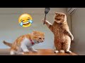 Funniest Animals 2024 🤣😅 New Funny Cats and Dogs Videos 😸🐶 Part