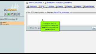 Running SQL Query on databases with phpMyAdmin