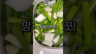 사이다먹지마요 마늘쫑피클먹어요🤣 #요리동영상 #간단레시피 #cookingshorts #간단한요리 #kfood #간단요리 #koreanfoodrecipes #집밥요리 #집밥