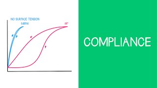 3.2 Respiratory: Compliance