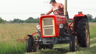 Sianokosy 2019🚜 3xUrsus \u0026 T25🚜 Milek 40 Team🎥