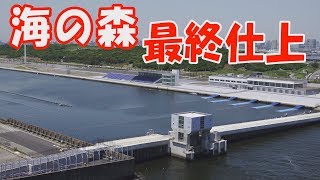 東京オリンピック　海の森水上競技場　最終仕上　Tokyo Olympic 2020