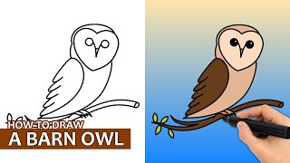 How To Draw A Barn Owl (Easy Drawing Tutorial)