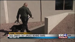 Crime Trackers: Pima County Jail adds drug sniffing dog to the team