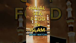 Halal Sea Food in Islam ✅️ #islamicvideo #mostwatched #wayofsuccess #halal #sea #food#islam #shorts