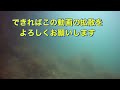 春の海釣り！姫路市妻鹿漁港の海中を撮影しました！令和4年3月中旬