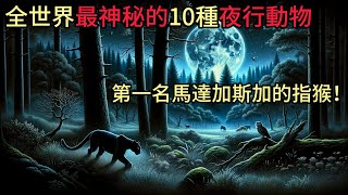 全世界最神秘的10種夜行動物，第一名馬達加斯加的指猴！#全球 #冷知識 #腦洞大開 #有趣 #分享 #top10 #世界 #動物 #cat #夜行性動物