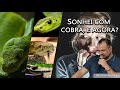 DESVENDANDO SONHOS | SIGNIFICADO DE SONHAR COM COBRA | PROFETA PALHUCA