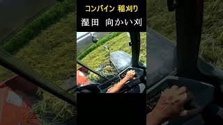 【コンバイン】急いで刈ると・・・