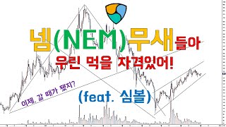 넴(XEM) 기도했어, 이제는 가야한다고 (심볼도 같이 가야지)