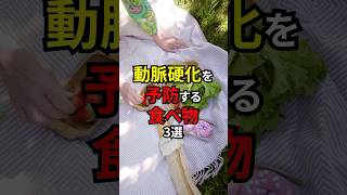 【薬剤師監修】動脈硬化を予防する食べ物3選