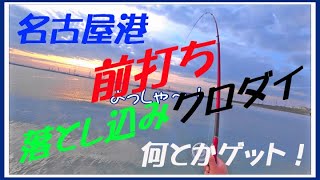 2022年12月　冬の前打ち、落とし込みクロダイ　何とかゲット！