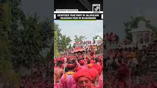 Rajasthan: Devotees take part in Jaljhulani Ekadashi fair in Rajsamand