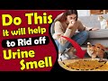 How to Get Rid of Cat Urine Smell ? How to eliminate cat pee smell ?