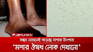 মশার উৎপাতে অতিষ্ঠ নগরবাসী; যুগোপযোগী সিদ্ধান্তের অভাবেই দুর্ভোগ | Mosquito