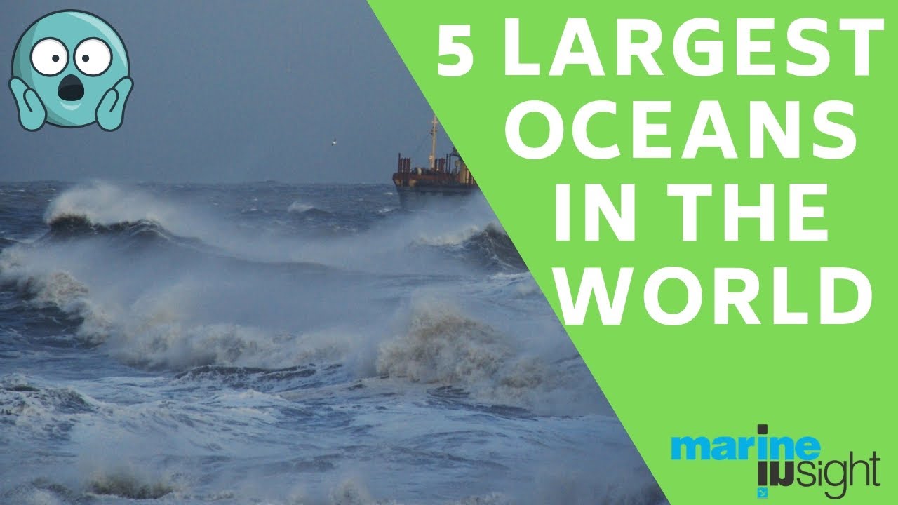 Top 10 Largest Sea In The World