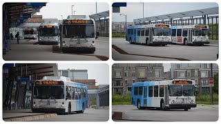 YRT/VIVA/GO Transit | Buses at Cornell Terminal