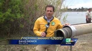 Drought forces strange salmon migration