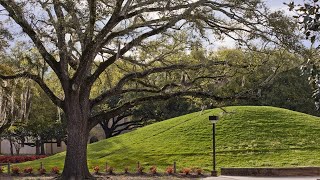 The LSU Campus Mounds